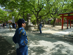 イベント警備・桜や紅葉シーズン等の季節ごとのイベント京義